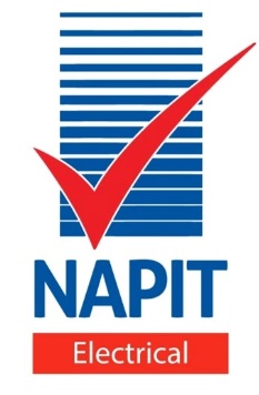 Napit Logo